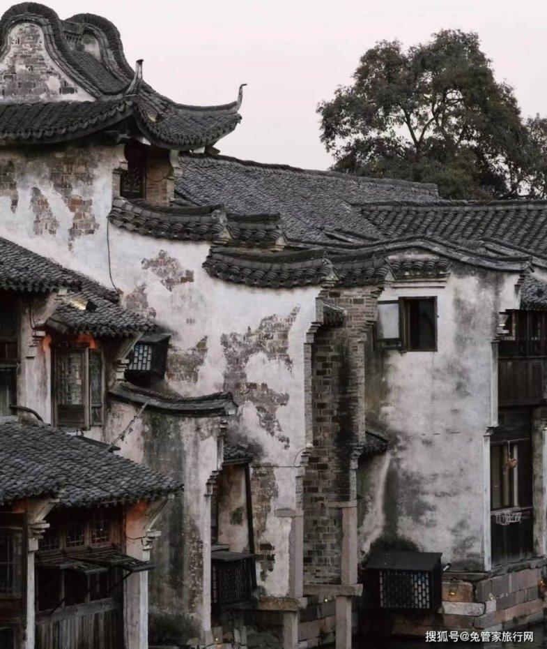 拯救可爱小浣熊